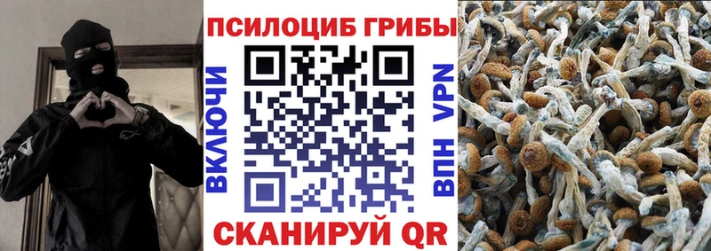 Галлюциногенные грибы MAGIC MUSHROOMS  наркота  Краснообск 